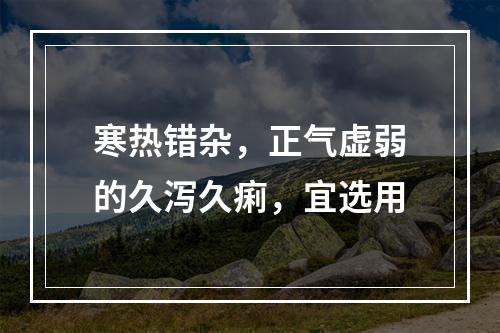 寒热错杂，正气虚弱的久泻久痢，宜选用