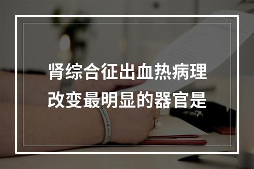 肾综合征出血热病理改变最明显的器官是