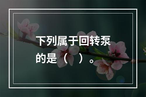 下列属于回转泵的是（　）。