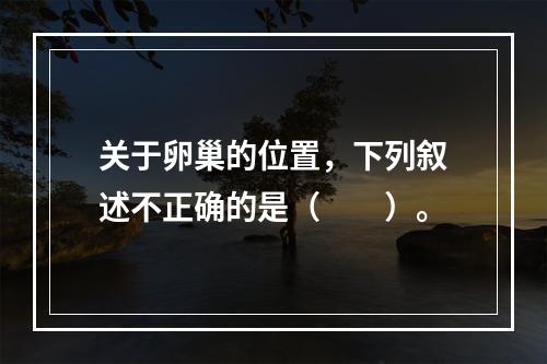 关于卵巢的位置，下列叙述不正确的是（　　）。