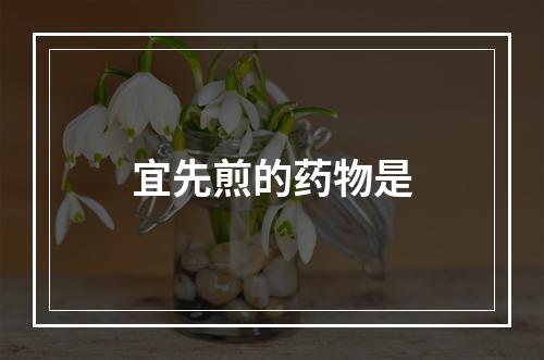 宜先煎的药物是