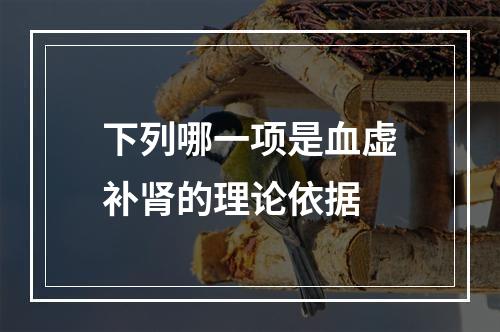 下列哪一项是血虚补肾的理论依据