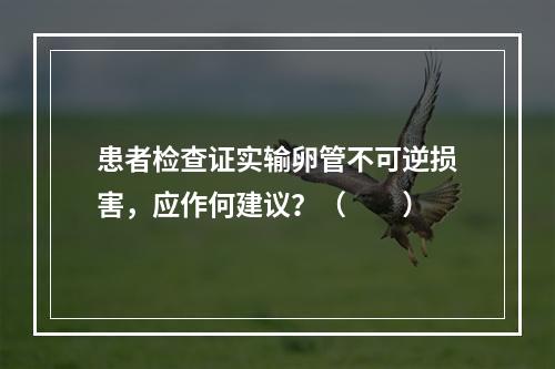 患者检查证实输卵管不可逆损害，应作何建议？（　　）