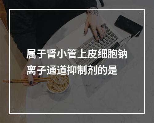 属于肾小管上皮细胞钠离子通道抑制剂的是