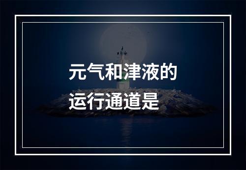 元气和津液的运行通道是