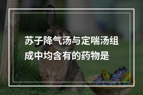 苏子降气汤与定喘汤组成中均含有的药物是