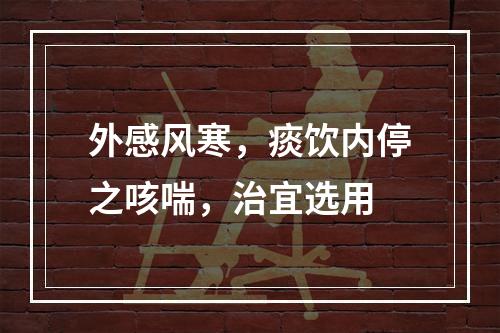 外感风寒，痰饮内停之咳喘，治宜选用