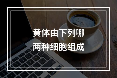 黄体由下列哪两种细胞组成