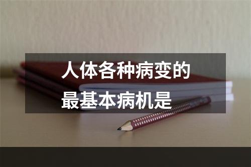 人体各种病变的最基本病机是