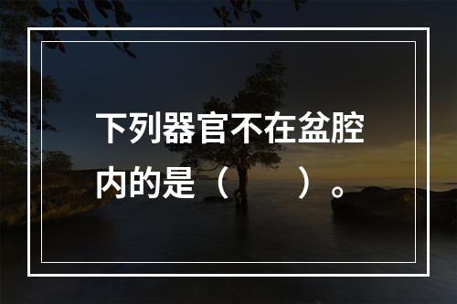 下列器官不在盆腔内的是（　　）。