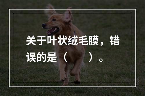 关于叶状绒毛膜，错误的是（　　）。