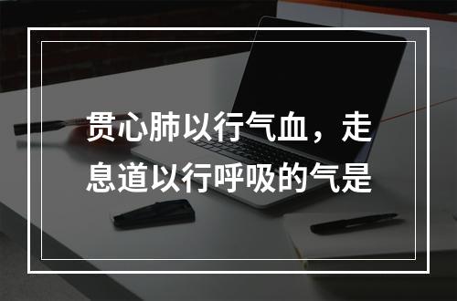 贯心肺以行气血，走息道以行呼吸的气是