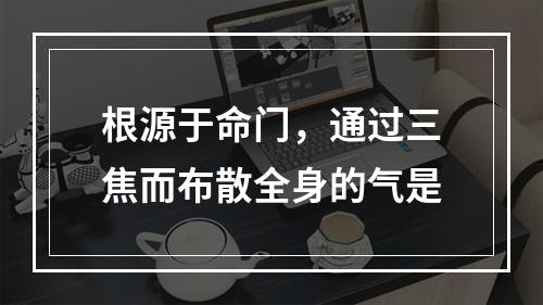 根源于命门，通过三焦而布散全身的气是