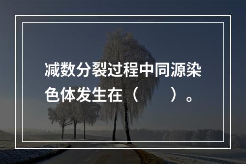 减数分裂过程中同源染色体发生在（　　）。