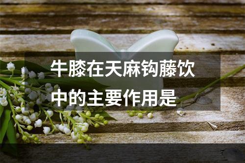 牛膝在天麻钩藤饮中的主要作用是