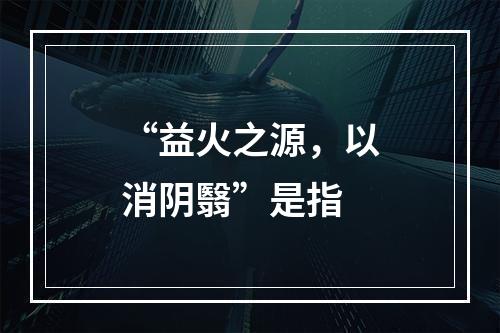 “益火之源，以消阴翳”是指