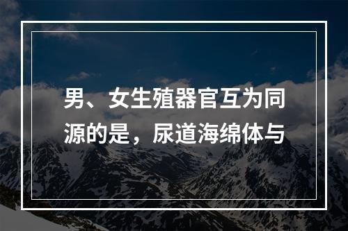 男、女生殖器官互为同源的是，尿道海绵体与