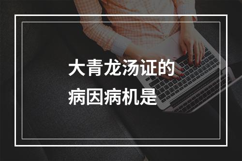 大青龙汤证的病因病机是