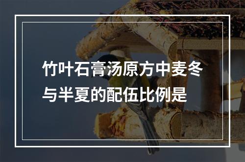 竹叶石膏汤原方中麦冬与半夏的配伍比例是