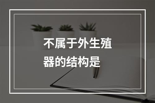 不属于外生殖器的结构是