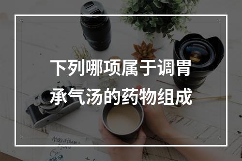 下列哪项属于调胃承气汤的药物组成