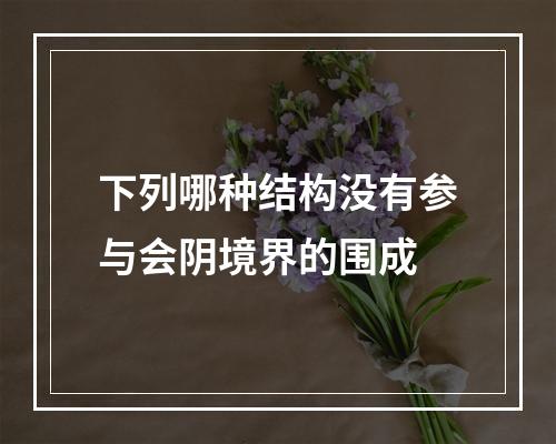 下列哪种结构没有参与会阴境界的围成