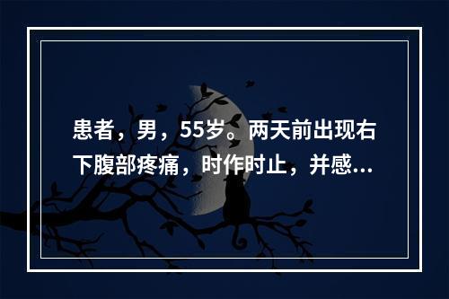 患者，男，55岁。两天前出现右下腹部疼痛，时作时止，并感有气