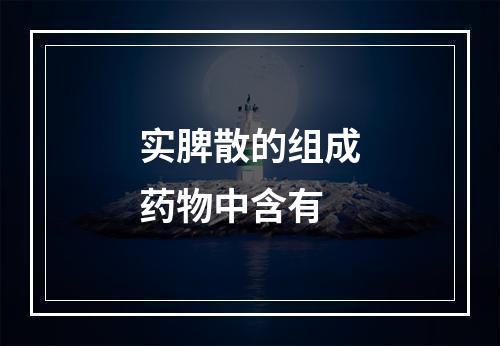 实脾散的组成药物中含有