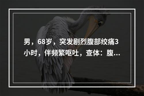 男，68岁，突发剧烈腹部绞痛3小时，伴频繁呕吐，查体：腹平坦