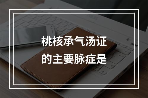 桃核承气汤证的主要脉症是