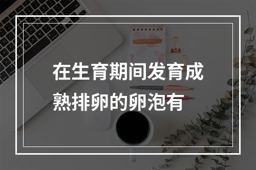 在生育期间发育成熟排卵的卵泡有