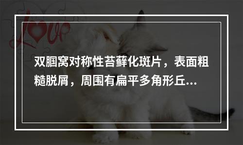 双腘窝对称性苔藓化斑片，表面粗糙脱屑，周围有扁平多角形丘疹，