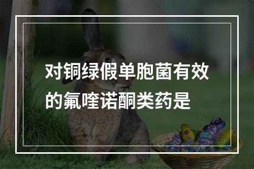 对铜绿假单胞菌有效的氟喹诺酮类药是