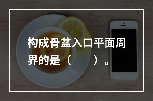 构成骨盆入口平面周界的是（　　）。