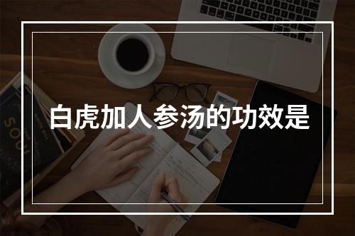 白虎加人参汤的功效是