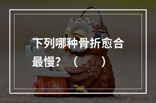 下列哪种骨折愈合最慢？（　　）