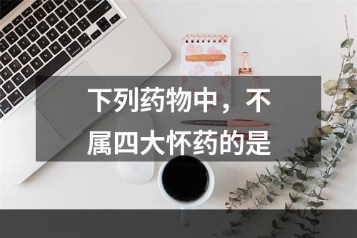 下列药物中，不属四大怀药的是