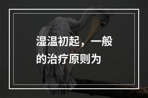 湿温初起，一般的治疗原则为