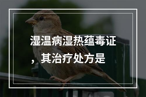 湿温病湿热蕴毒证，其治疗处方是