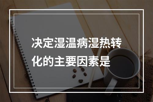 决定湿温病湿热转化的主要因素是