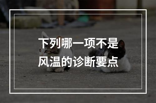 下列哪一项不是风温的诊断要点