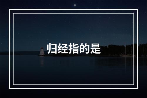 归经指的是