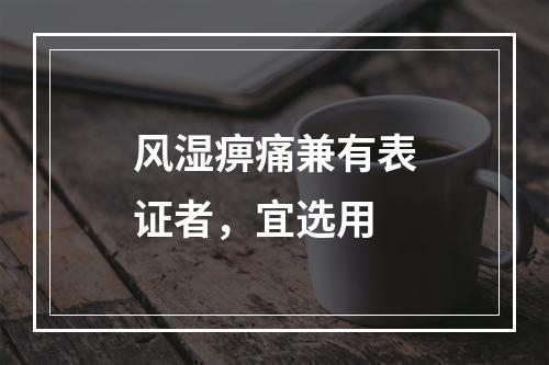 风湿痹痛兼有表证者，宜选用