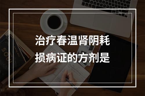 治疗春温肾阴耗损病证的方剂是