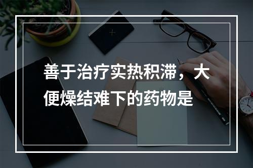 善于治疗实热积滞，大便燥结难下的药物是