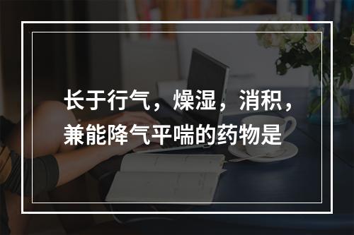 长于行气，燥湿，消积，兼能降气平喘的药物是