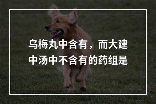 乌梅丸中含有，而大建中汤中不含有的药组是