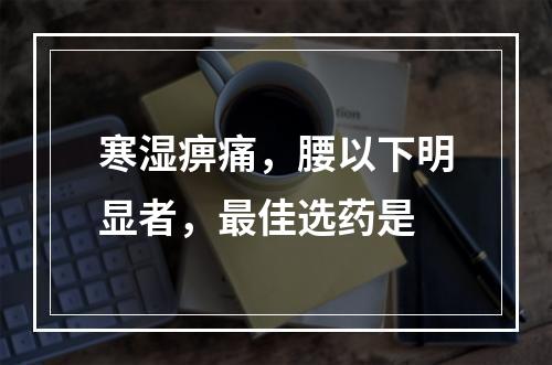 寒湿痹痛，腰以下明显者，最佳选药是