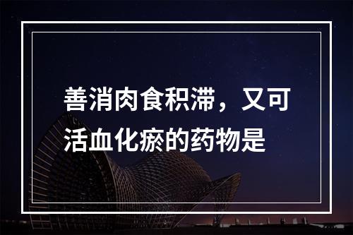 善消肉食积滞，又可活血化瘀的药物是