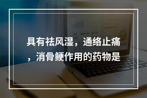 具有祛风湿，通络止痛，消骨鲠作用的药物是